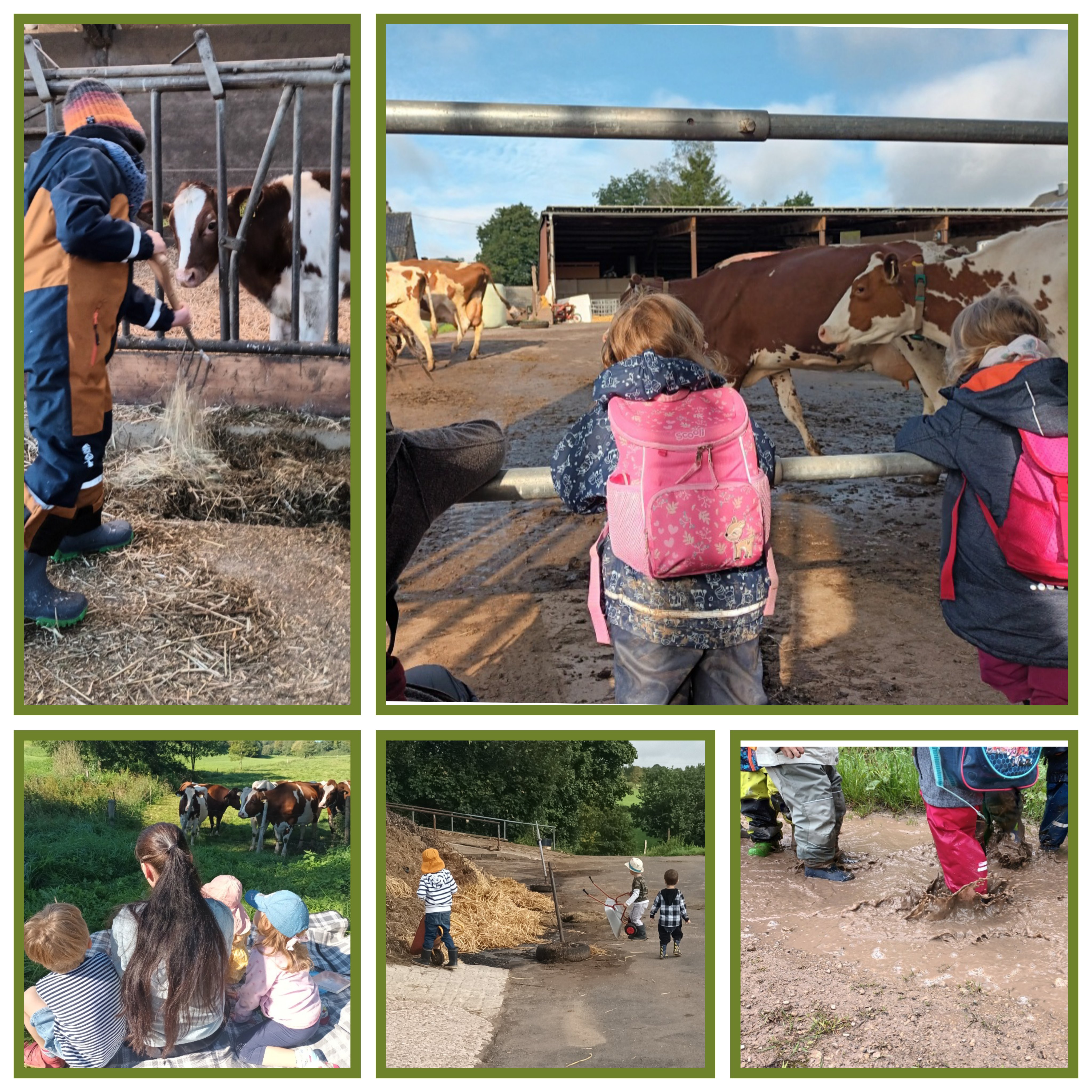 Alltag im Bauernhof-Naturkindergarten