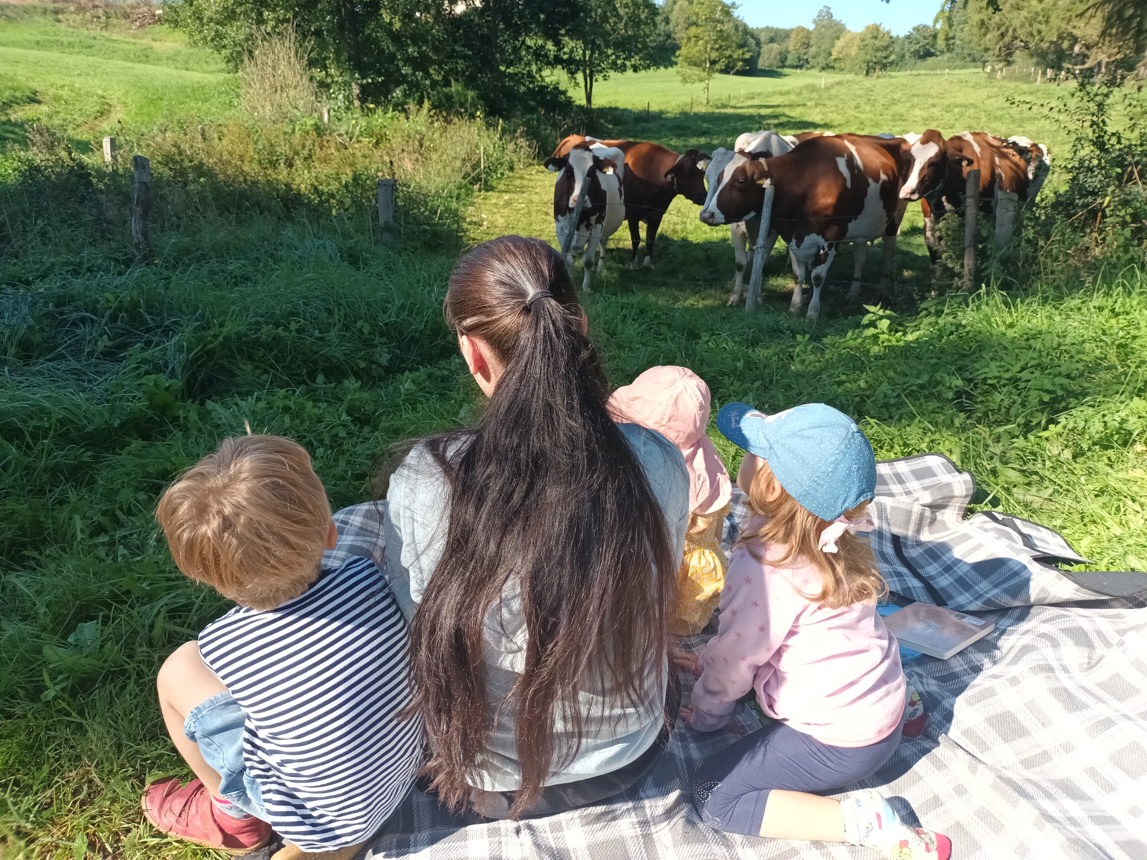 Auf dem Bauernhof machen die Kinder individuelle unmittelbare Erfahrungen mit Natur und  Tieren